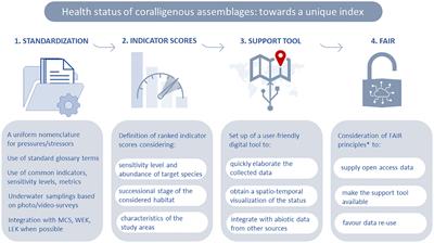 Review of the indexes to assess the ecological quality of coralligenous reefs: towards a unified approach